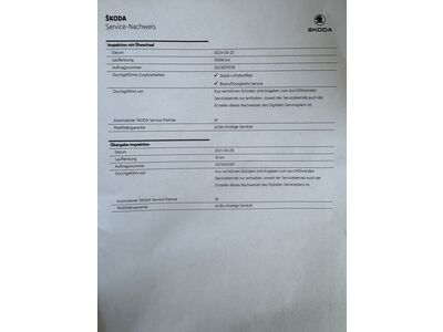 Skoda Kamiq Gebrauchtwagen Skoda Kamiq Gebrauchtwagen