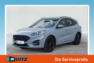 Ford Kuga Vorführwagen