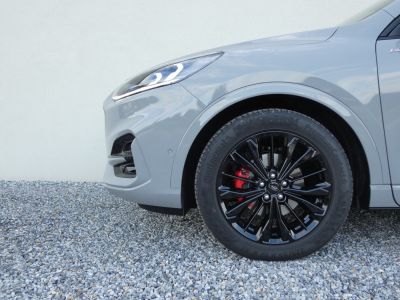 Ford Kuga Vorführwagen