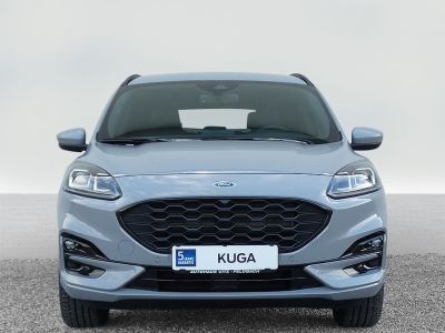 Ford Kuga Vorführwagen