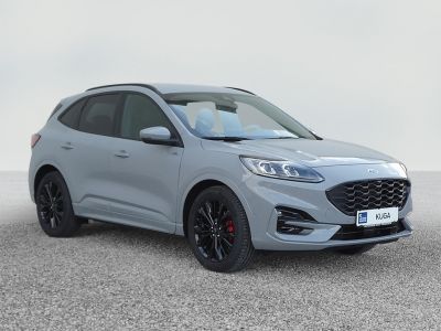 Ford Kuga Vorführwagen