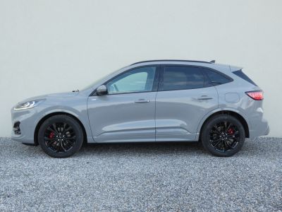 Ford Kuga Vorführwagen