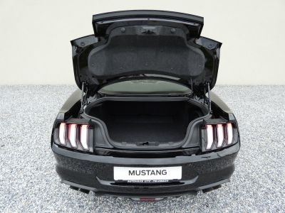 Ford Mustang Gebrauchtwagen