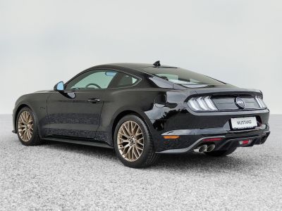 Ford Mustang Gebrauchtwagen