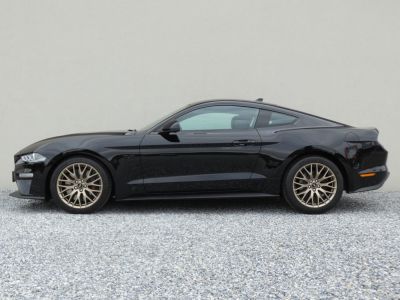 Ford Mustang Gebrauchtwagen