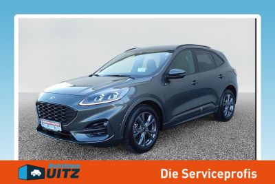 Ford Kuga Gebrauchtwagen