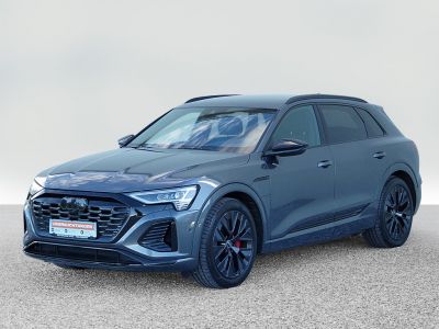 Audi Q8 e-tron Gebrauchtwagen