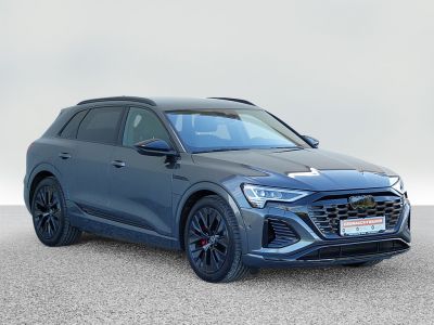 Audi Q8 e-tron Gebrauchtwagen