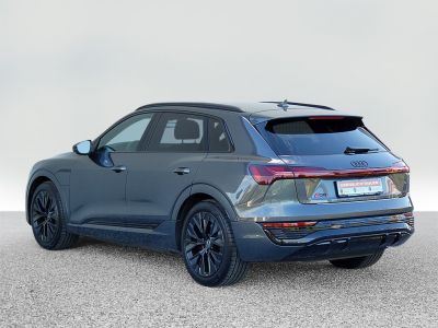 Audi Q8 e-tron Gebrauchtwagen