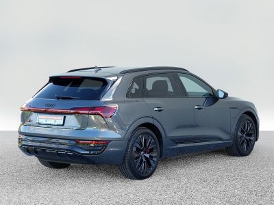 Audi Q8 e-tron Gebrauchtwagen