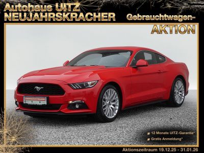 Ford Mustang Gebrauchtwagen