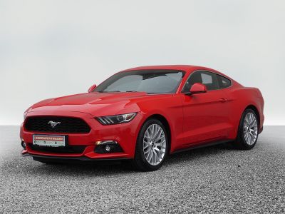 Ford Mustang Gebrauchtwagen