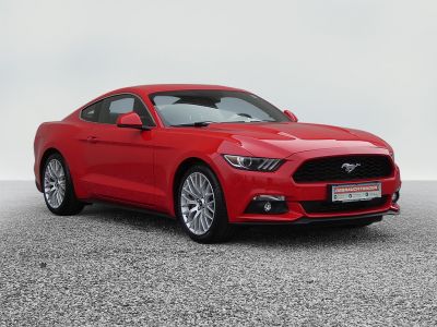Ford Mustang Gebrauchtwagen