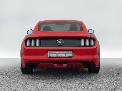 Ford Mustang Gebrauchtwagen