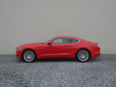Ford Mustang Gebrauchtwagen