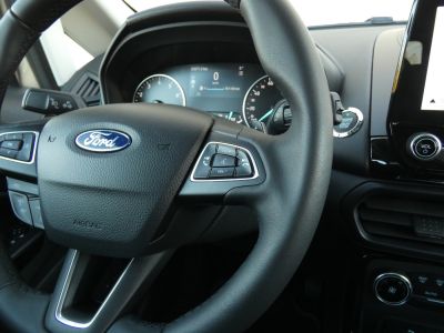 Ford EcoSport Gebrauchtwagen
