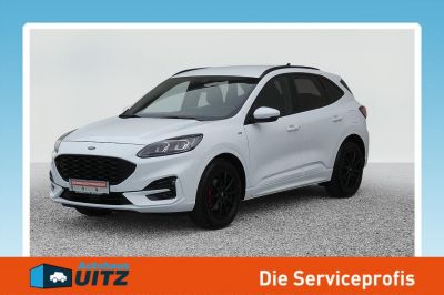 Ford Kuga Gebrauchtwagen