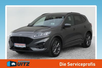 Ford Kuga Gebrauchtwagen