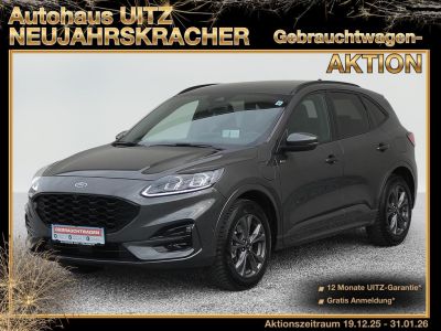 Ford Kuga Gebrauchtwagen