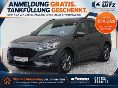 Ford Kuga Gebrauchtwagen