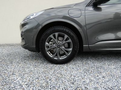 Ford Kuga Gebrauchtwagen