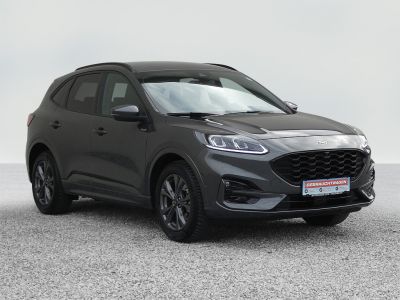 Ford Kuga Gebrauchtwagen Ford Kuga Gebrauchtwagen