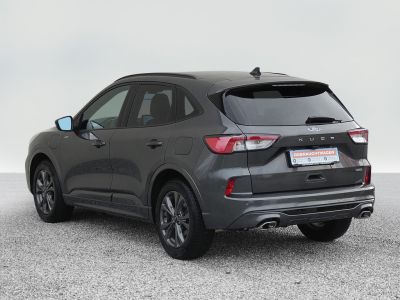 Ford Kuga Gebrauchtwagen Ford Kuga Gebrauchtwagen