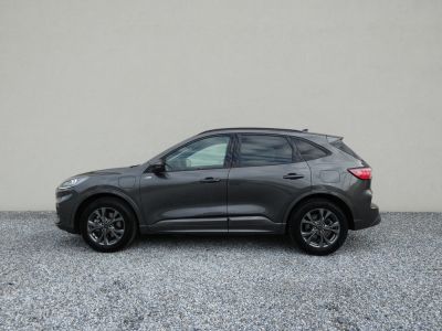 Ford Kuga Gebrauchtwagen Ford Kuga Gebrauchtwagen