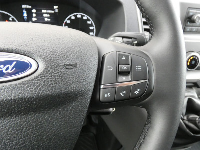 Ford Transit Vorführwagen Ford Transit Vorführwagen