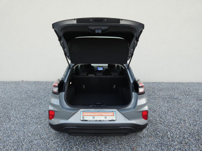 Ford Puma Gebrauchtwagen Ford Puma Gebrauchtwagen