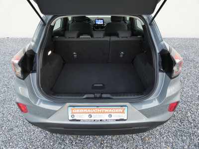 Ford Puma Gebrauchtwagen Ford Puma Gebrauchtwagen