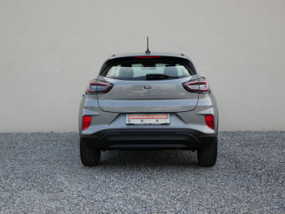 Ford Puma Gebrauchtwagen Ford Puma Gebrauchtwagen