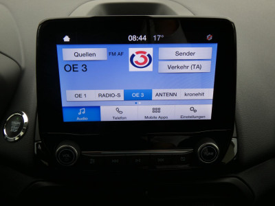 Ford EcoSport Gebrauchtwagen