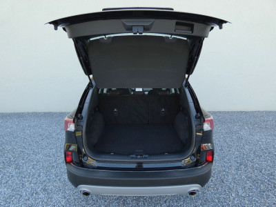 Ford Kuga Gebrauchtwagen Ford Kuga Gebrauchtwagen
