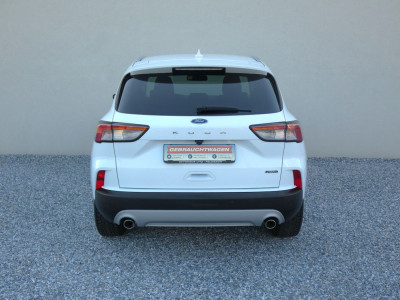 Ford Kuga Gebrauchtwagen Ford Kuga Gebrauchtwagen