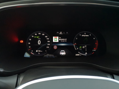 Renault Arkana Gebrauchtwagen