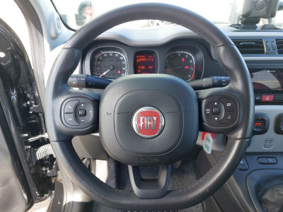 Fiat Panda Gebrauchtwagen