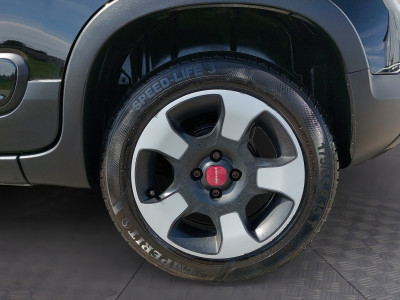 Fiat Panda Gebrauchtwagen
