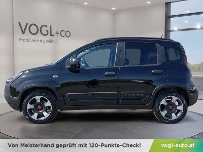 Fiat Panda Gebrauchtwagen