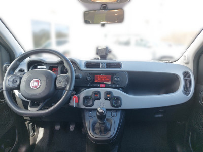 Fiat Panda Gebrauchtwagen