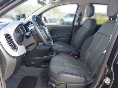 Fiat Panda Gebrauchtwagen