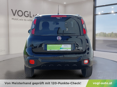 Fiat Panda Gebrauchtwagen