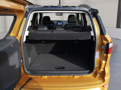 Ford EcoSport Gebrauchtwagen