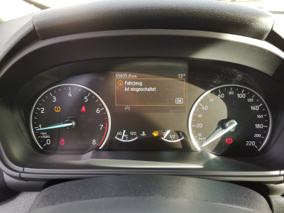 Ford EcoSport Gebrauchtwagen