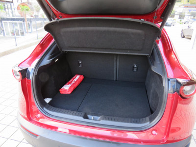 Mazda CX-30 Gebrauchtwagen Mazda CX-30 Gebrauchtwagen