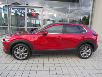 Mazda CX-30 Gebrauchtwagen Mazda CX-30 Gebrauchtwagen