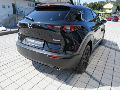 Mazda CX-30 Tageszulassung Mazda CX-30 Tageszulassung