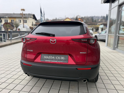 Mazda CX-30 Neuwagen Mazda CX-30 Neuwagen
