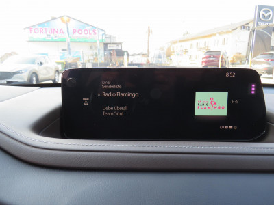 Mazda CX-30 Gebrauchtwagen Mazda CX-30 Gebrauchtwagen