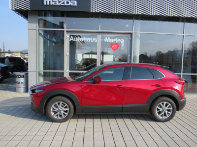 Mazda CX-30 Gebrauchtwagen Mazda CX-30 Gebrauchtwagen
